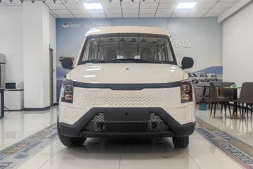 黄金仓&nbsp;电动封闭厢货外观图片