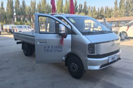 星塔&nbsp;载货车外观                                                图片