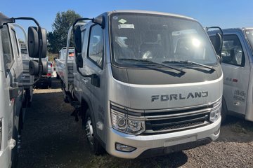 时代领航S1 2L CNG 127马力 东安5档 3.19米双排栏板小卡