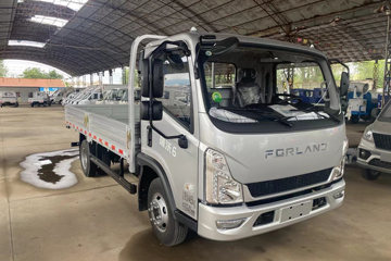 福田瑞沃6 2.5L柴油 160马力 法士特8档 4.17米单排栏板轻卡