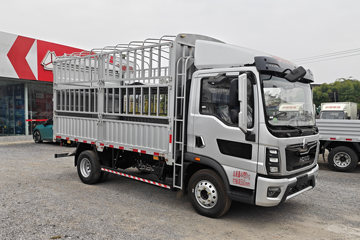 悍将PRO&nbsp;载货车外观                                                图片