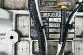 HOWO TS7&nbsp;载货车底盘                                                图片