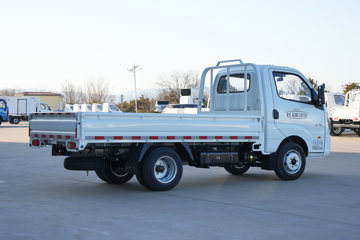 缔途GX&nbsp;载货车外观                                                图片