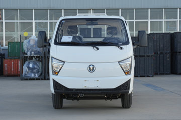 缔途GX&nbsp;载货车外观                                                图片