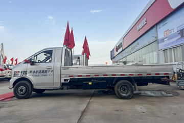 星塔&nbsp;载货车外观                                                图片