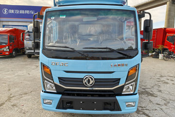 ���� ������D5 ������ 142���� 3.8�׵��Ų�դʽ�ῨͼƬ