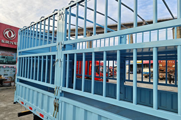 ���� ������D5 ������ 142���� 3.8�׵��Ų�դʽ�ῨͼƬ