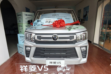 祥菱V5&nbsp;载货车外观                                                图片