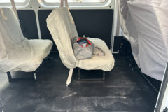 长安跨越星光 2025款 智驾超充版 7座 纯电动轻客 宁德时代43.53kWh