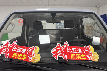 ���ǵ�T4 �Ƹ��� 3.815�׵��Ŵ��綯��դʽ�Ῠ ����62.3kWhͼƬ