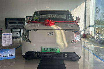 R5货运版&nbsp;电动封闭厢货外观图片
