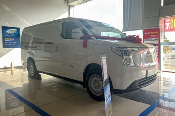 R5货运版&nbsp;电动封闭厢货外观图片