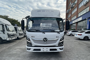 智蓝EL-Plus&nbsp;电动载货车外观图片