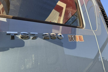 ��������HOWO TS7 6.9L���� 290���� 4X2 �й�����8�� 9.6����ʽ�ػ���ͼƬ