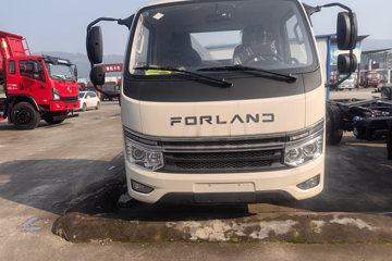 时代领航S1&nbsp;载货车外观                                                图片