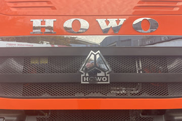 ��������HOWO TX7 PRO ��ӯ�� 6.9L���� 290���� 4X2 �й�����8�� 9.6����ʽ�ػ���ͼƬ