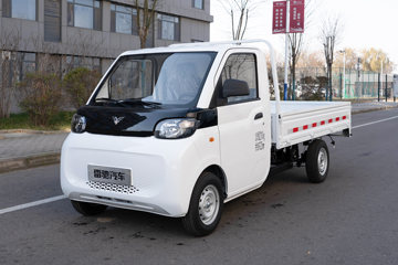 雷驰仁T10 Pro 2026款 奋斗版 2.5米单排纯电动栏板微卡 科大国创16.6kWh