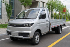 仁T30&nbsp;电动载货车外观图片