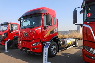 东风畅行X3 6.9L LNG 280马力 4X2 法士特8档 载货车