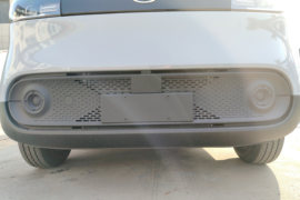 大拿V1L&nbsp;电动封闭厢货外观图片