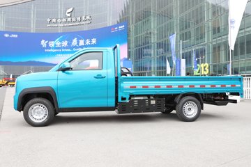 �����ͼ ������ 1.6L CNG 105���� ����5�� 3.3�׵�������΢��(��̥)ͼƬ