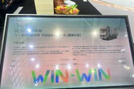 统帅&nbsp;载货车外观                                                图片