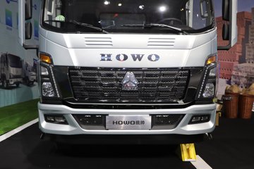 ����HOWOͳ˧T8 2.5L���� 185���� �й�����12�� 4.15�׵��Ų�դʽ�Ῠ(˯�߲�)ͼƬ