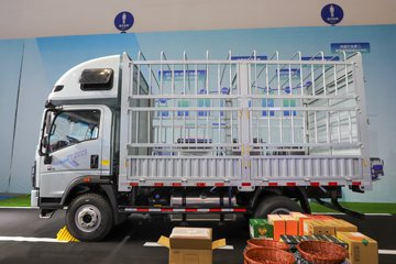 ����HOWOͳ˧T8 2.5L���� 185���� �й�����12�� 4.15�׵��Ų�դʽ�Ῠ(˯�߲�)ͼƬ