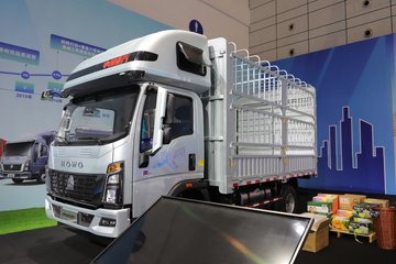 ����HOWOͳ˧T8 2.5L���� 185���� �й�����12�� 4.15�׵��Ų�դʽ�Ῠ(˯�߲�)ͼƬ