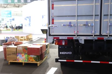 ����HOWOͳ˧T8 2.5L���� 185���� �й�����12�� 4.15�׵��Ų�դʽ�Ῠ(˯�߲�)ͼƬ