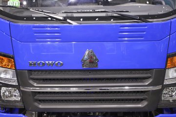 ����HOWO��ʿ 2.5L���� 185���� 4X2 ��ʿ��8�� 3.15�׵�����ж��ͼƬ