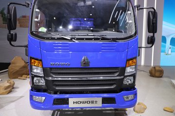 ����HOWO��ʿ 2.5L���� 185���� 4X2 ��ʿ��8�� 3.15�׵�����ж��ͼƬ