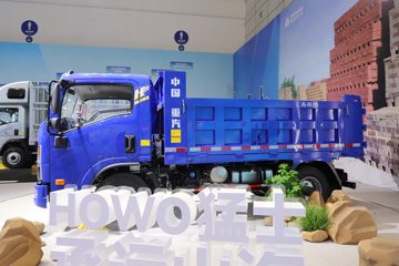 ����HOWO��ʿ 2.5L���� 185���� 4X2 ��ʿ��8�� 3.15�׵�����ж��ͼƬ