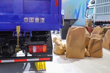 ����HOWO��ʿ 2.5L���� 185���� 4X2 ��ʿ��8�� 3.15�׵�����ж��ͼƬ