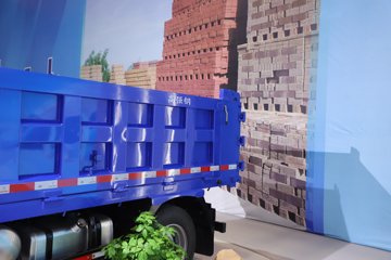 ����HOWO��ʿ 2.5L���� 185���� 4X2 ��ʿ��8�� 3.15�׵�����ж��ͼƬ