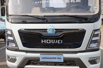 ����HOWO����PRO 4.15�׵��Ŵ��綯�����Ῠ ����ʱ��140.41kWhͼƬ