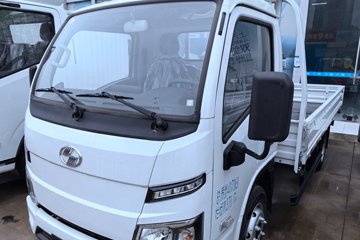 大拿T3&nbsp;电动载货车外观图片