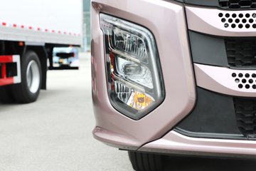 һ�����J6V Pro��Ӣ�� 7.8L���� 320���� 4X2 һ�����8�� 9.6����ʽ�ػ���ͼƬ