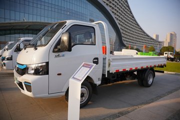 T9E&nbsp;电动载货车外观图片