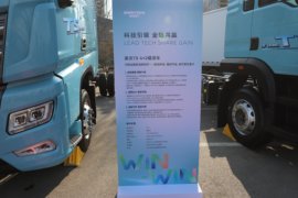 TS&nbsp;载货车外观                                                图片