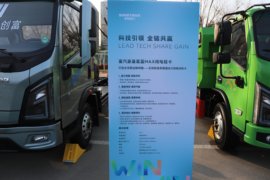 星蓝Max&nbsp;电动载货车外观图片