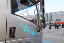 星蓝Max&nbsp;电动载货车外观图片