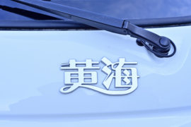 鑫程-1&nbsp;电动载货车外观图片