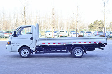 鑫程-1&nbsp;电动载货车外观图片