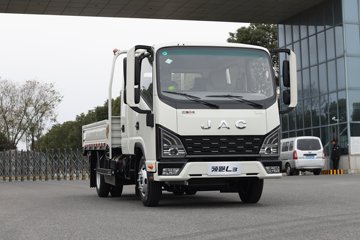 领跑L3&nbsp;载货车外观                                                图片