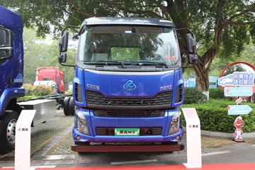 新乘龙M3&nbsp;电动载货车外观图片