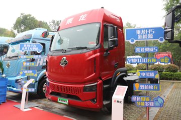 翼威5&nbsp;电动载货车外观图片