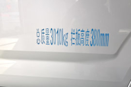 小象X3L&nbsp;电动载货车外观图片