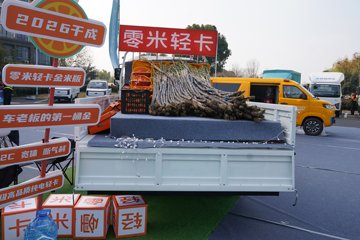 零米&nbsp;电动载货车外观图片