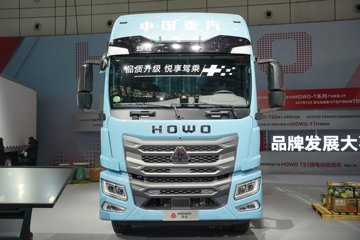 HOWO TX7-N&nbsp;载货车外观                                                图片